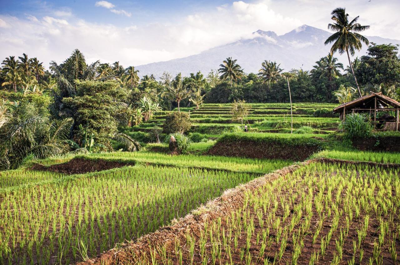 The Endless Summer Resort Bumbang エクステリア 写真
